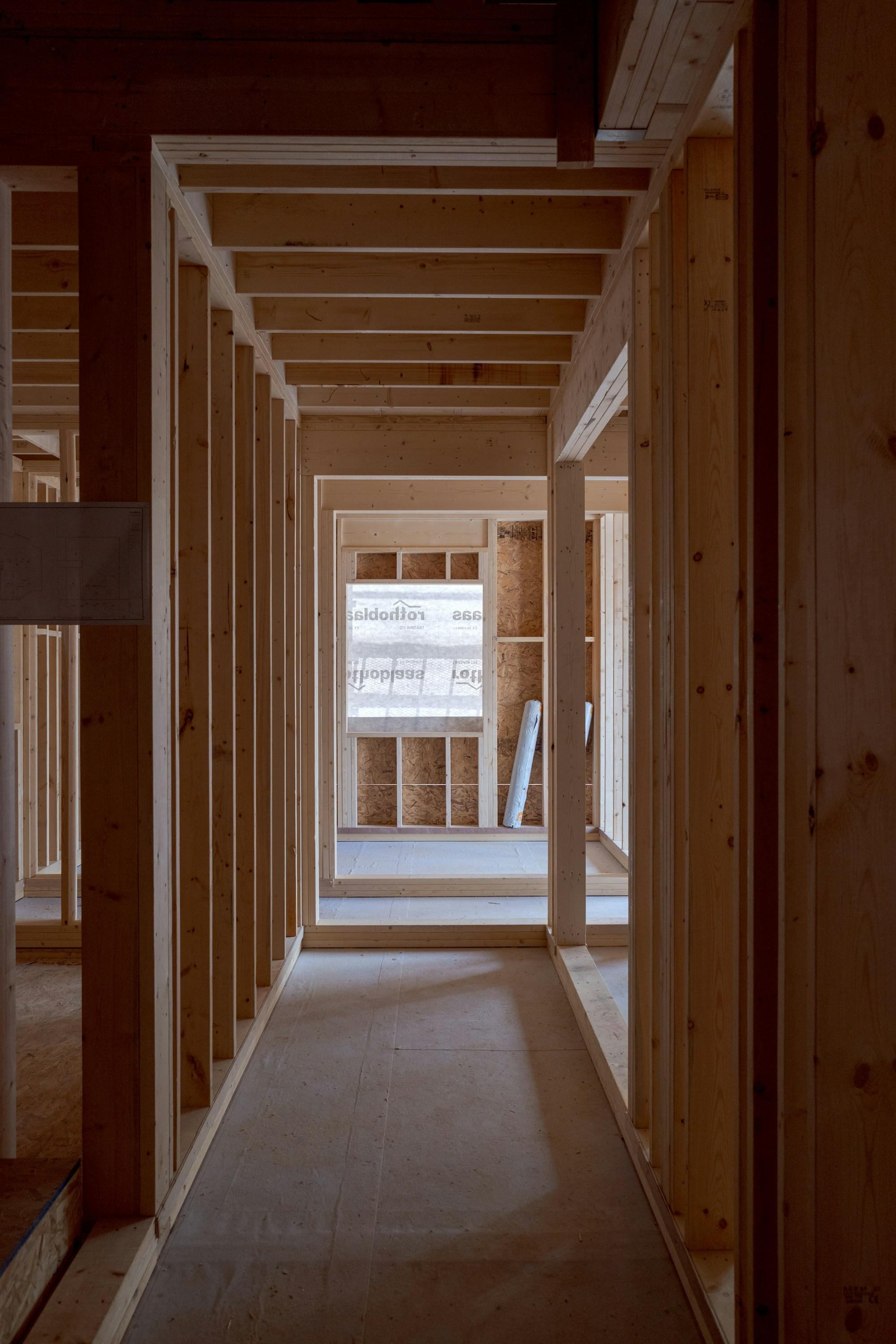 Interior timber framing part-way through the renovation, with new stud walls and door openings set out and the drawings taped to a partition.